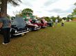 Sunbeam Tigers