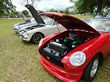 Modified MG's